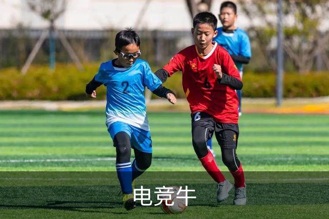 电竞牛企业办公与团队协作